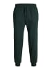 Jack & Jones Jogginghose in Scarab 1