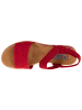 Skechers Skechers Desert Kiss in Rot