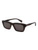 Ted Baker Männer Sonnenbrille Rechtwinklig Braun