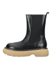 Steve Madden Stiefelette in Schwarz/Beige
