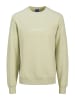 JACK & JONES Junior Sweatshirt 'Vesterbro' in grün