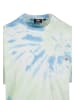 Dickies Dickies T-Shirts in celadon green