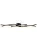 Globo lighting Deckenleuchte "GERONIMO" in black
