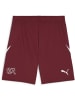 Puma Sporthose "SFV Shorts Replica" in Rot