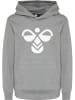 Hummel Kinder Hoodie in Grau