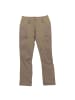 Jack Wolfskin Wanderhose Dawson Flex in Braun