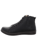 Andrea Conti SHOES Schnürschuhe in schwarz/brandy