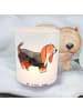 Mr. & Mrs. Panda Windlicht Klein Basset Hound Moment ohne Spruch in Transparent