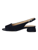 PETER KAISER Pumps in Notte
