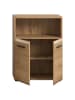 ebuy24 Badschrank Ice Eiche 60 x 30 cm