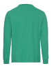 Delmao Langarmshirt in grün