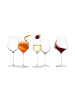 Stölzle 6er Set Rotweingläser Starlight 510 ml transparent in transparent