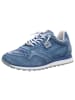 Cetti Sneaker in blau