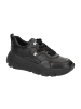 Geox Sneaker Low in Schwarz