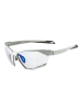 Alpina Ski-Sonnenbrille in grau