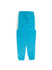 adidas Hose Woven Pant in Blau