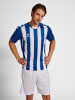 Hummel Hummel T-Shirt Hmlcore Multisport Herren Atmungsaktiv Schnelltrocknend in TRUE BLUE/WHITE