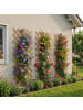 relaxdays 3 x Rankgitter in Orange - (B)90 x (H)310 cm