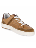 Bullboxer Schnürschuh in brown