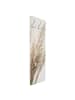 WALLART Garderobe - Makroaufnahme Pampasgras in Creme-Beige