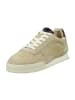 Gant Sneaker Low in Beige