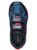 Geox Sneaker in Navy/Rot