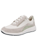 Solidus Damen- Schnürschuhe Halea - Weite H in Grau