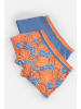 Coccodrillo Unterhose in bunt
