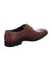 LLOYD Klassische Schnürschuhe in Braun