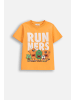 Coccodrillo Baumwoll-T-Shirt mit kurzen Ärmeln in orange