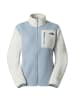 The North Face Fleecejacke W YUMIORI FULL ZIP in Grau0672