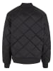 Dickies Dickies Leichte Jacken in black