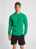 Hummel Sweatshirt Raglanärmel Hmlred Herren in JELLY BEAN