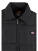 Dickies Dickies Leichte Jacken in black