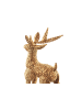 kobolo Dekofigur PRANCER in Braun