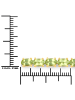 Rafaela Donata Armband Sterling Silber gelbvergoldet Peridot grün in gelbgold