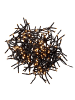 Butlers Butlers Lichterkette BRIGHT LIGHTS 576 in Schwarz