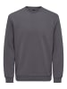 ONLY & SONS Sweatshirt in Rabbit