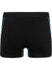 normani 4 Herren Boxershorts aus Baumwolle in Türkis