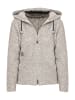 Alp1964 Outdoorjacke 195301 in silver