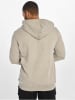 Ecko Unltd. Hoodie in Grau