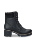 PANAMA JACK SHOES "Phoebe" in negro/black