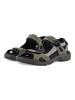 Ecco Sandalen in Grün