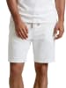 riverso  Short RIVBrian regular/straight in Mehrfarbig