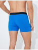 KOTON Boxer in Blau