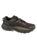 Merrell Merrell Agility Trail WP in Braun