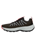 Jack Wolfskin Wild Hike Low M in Mehrfarbig
