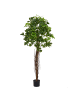 Beliani Kunstpflanze UMBRELLA TREE in Grün - (W) 70 x (H) 175 x (L) 70 cm