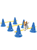 Pawhut Hunde 6-teiliges Agility Blau Kunststoff