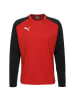 Puma Sweatshirt TeamLIGA in rot / schwarz